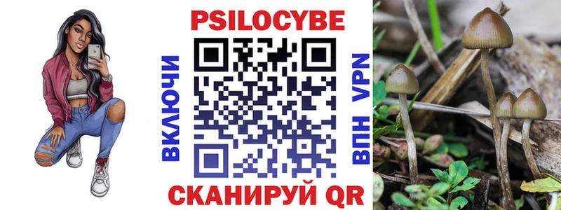 где купить наркотик  ОМГ ОМГ ТОР  Псилоцибиновые грибы прущие грибы  площадка Telegram  Сасово 